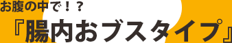 お腹の中で!?「腸内おブスタイプ」