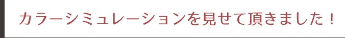 カラーシュミレーションを見せていただきました!