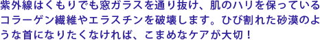 紫外線はくもりでも窓ガラスを通り抜け、肌のハリを保っているコラーゲン繊維やエラスチンを破壊します。ひび割れた砂漠のような首になりたくなければ、こまめなケアが大切!