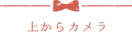上からカメラ