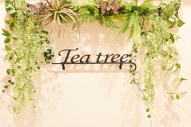 Tea tree. | 豊中のリラクゼーション
