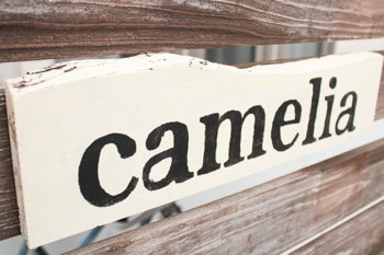 camelia | 岡崎のエステサロン
