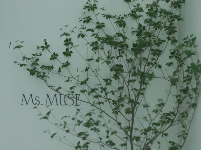 MS・MUSE | 自由が丘のリラクゼーション