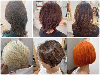 DAY TO DAY true colors | 亀有のヘアサロン