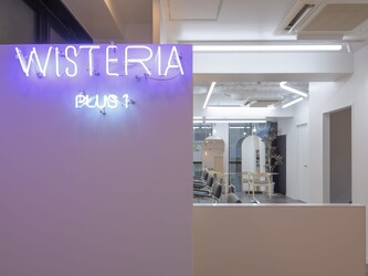 WISTERIA PLUS1 銀座一丁目【ウィステリア プラスワン】 | 銀座のヘアサロン