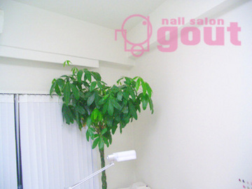 nail salon gout | 五反田のネイルサロン