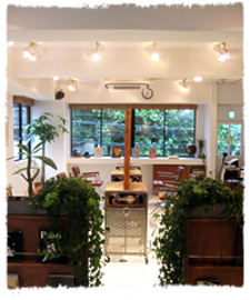 地図 アクセス Drop ドロップ 東京都 表参道 の美容院 美容室 ビューティーパーク