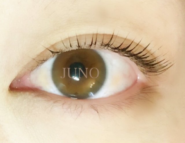 JUNO Eyelash beauty &healing | 小岩のアイラッシュ