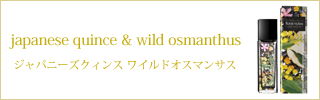 ジャパニーズクィンス ワイルドオスマンサス