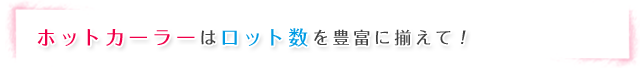 ホットカーラーはロット数を豊富に揃えて！