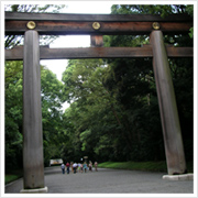 厳かな雰囲気。朝早くから参拝者も多いわ、さすが。