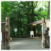 次に、パワースポットとしてかなり騒がれた“清正井（きよまさのいど）”がある、明治神宮御苑へ