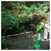 深い緑の中を歩き到着！！“清正井（きよまさのいど）”平日の早朝から訪れる人は少なくなく…