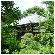 眩しい日差しの中、美しい緑と蝉の声の中にひっそりと佇む蟠竜寺　静けさが心地いいな～