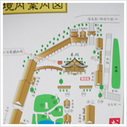 でも、ちょっと待って。私って、一人で夫婦坂を上がり、一人で男坂を降りたみたい・・・