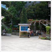 見渡すかぎり女子ばかり。平日の昼下がり、みんな仕事休んで恋愛成就!?   負けてられないっ