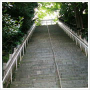 で、この階段　ワイルドだろ～