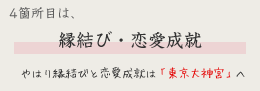   4箇所目は、縁結び・恋愛成就　やはり縁結びと恋愛成就は必須と「東京大神宮」へ。