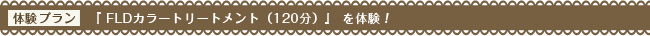 FLDカラートリートメント（120分）を体験