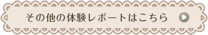 その他の体験レポートはこちら