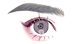 4D　パウダー＋毛並み眉