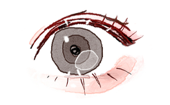 シンプルライン