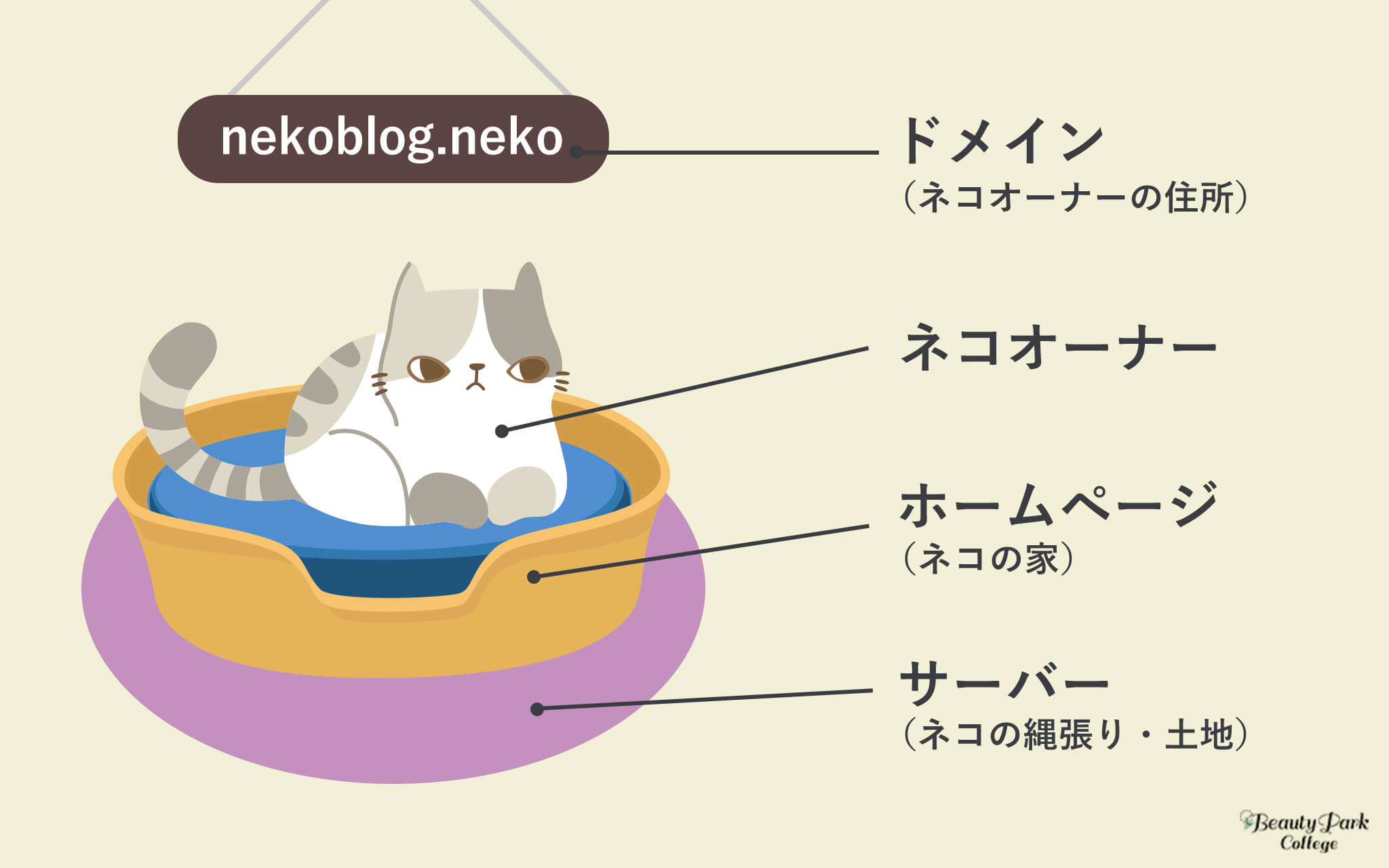 ドメイン＝ネコオーナーの住所、ネコオーナー、ホームページ＝ネコの家、サーバー＝ネコの縄張り・土地