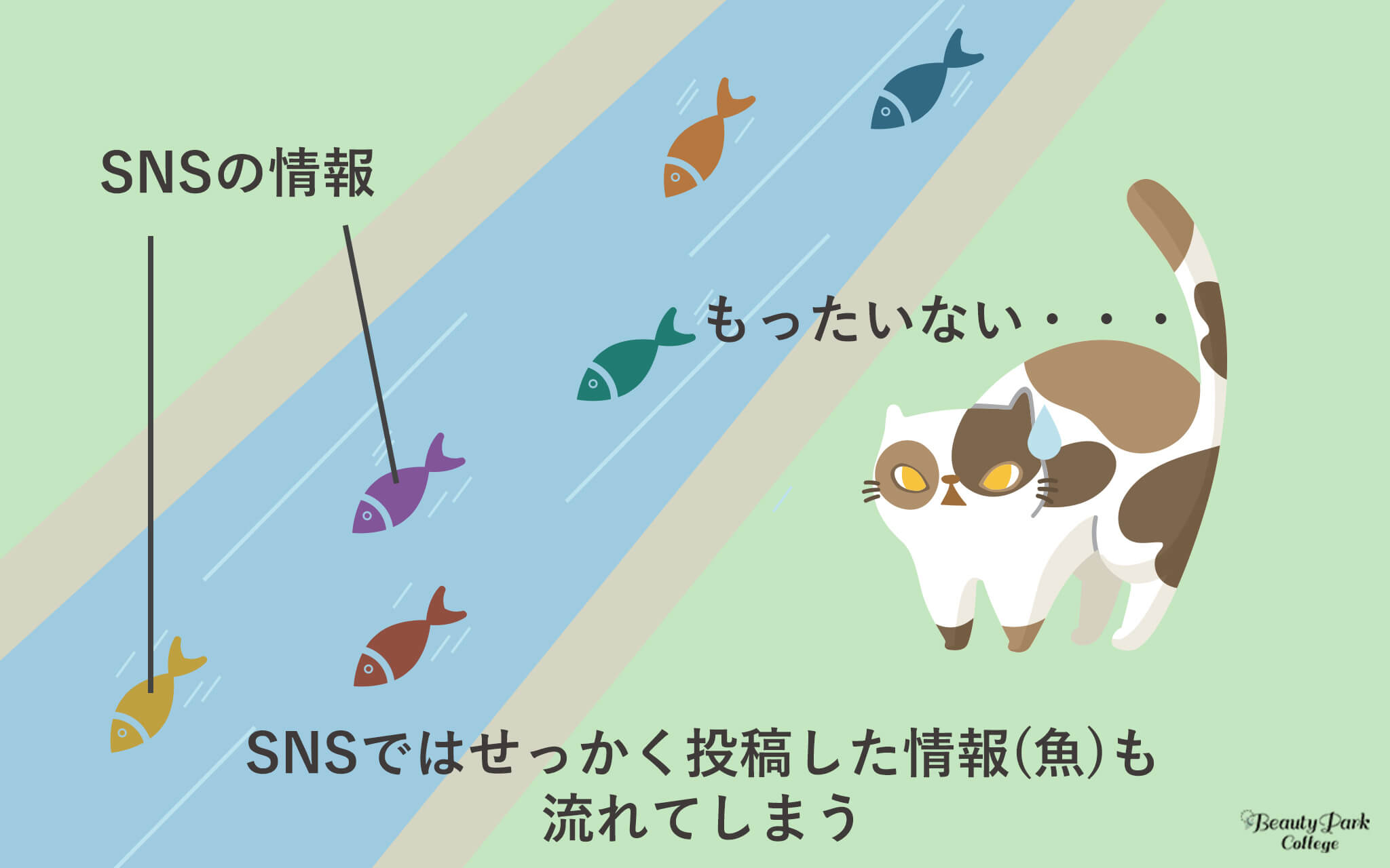 SNSではせっかく投稿した情報(魚)も流れてしまう
