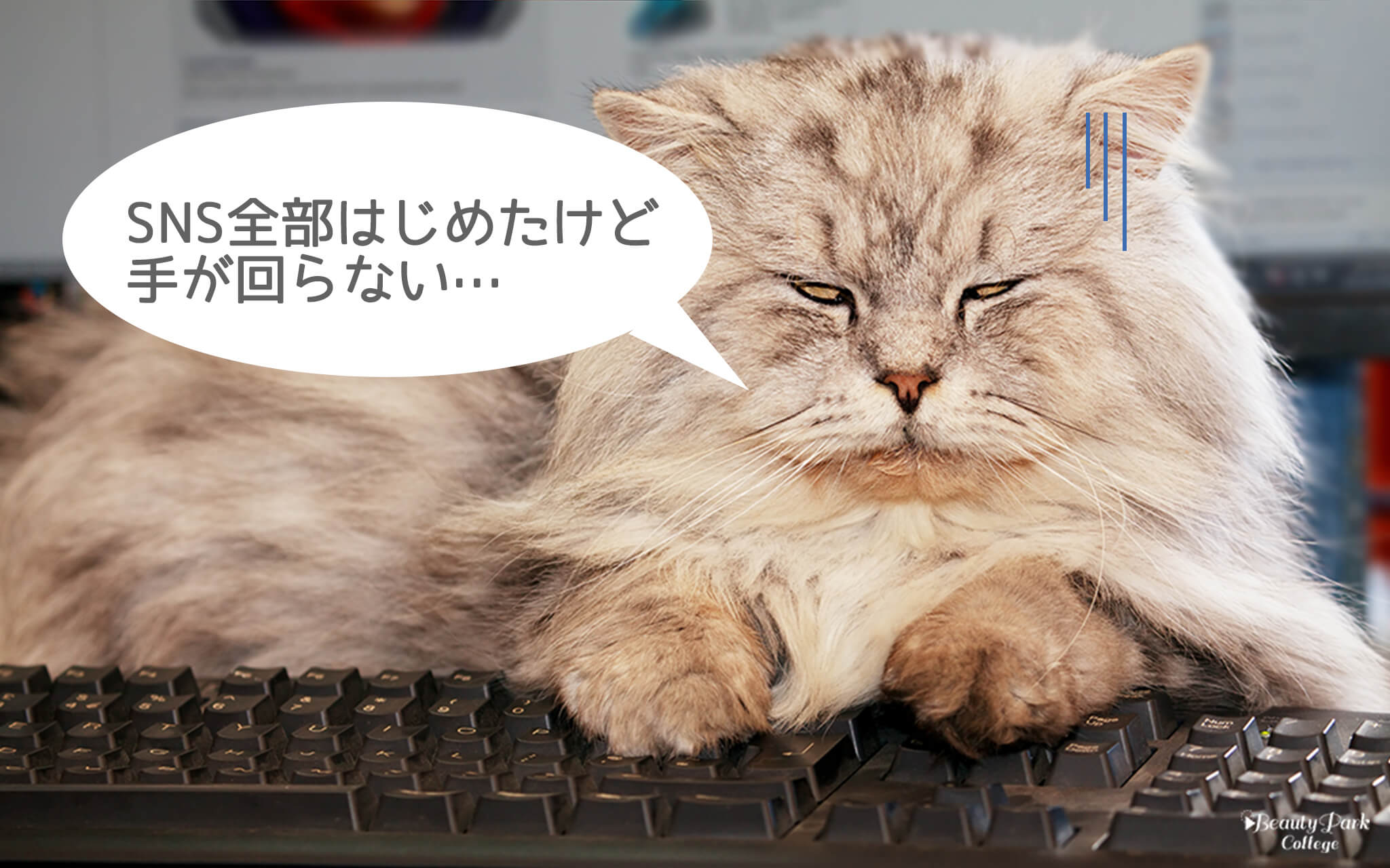 SNS全部始めたけど手が回らない・・・