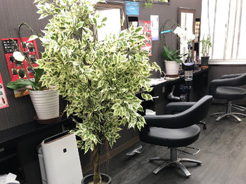 salon-de-courage