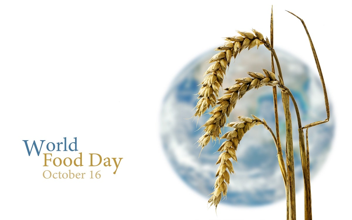 world_food_day