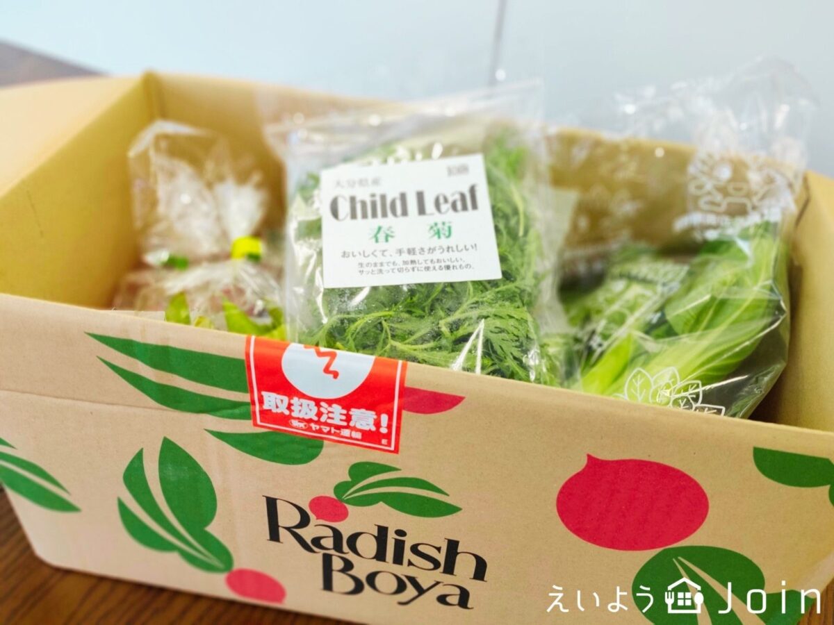 野菜の詰め合わせ