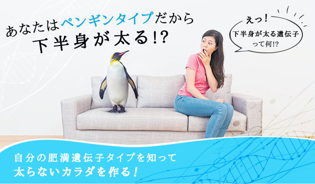 あなたはペンギンタイプだから下半身が太る!?えっ！下半身が太る遺伝子って何!?自分の肥満遺伝子タイプを知って太らないカラダを作る！