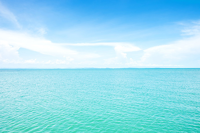 夏（サマー）タイプ