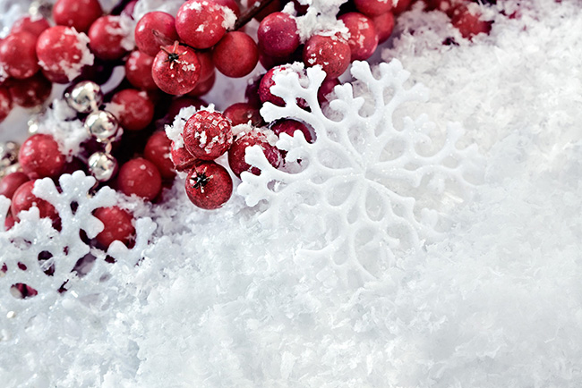 冬（ウィンター）タイプ