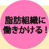 脂肪組織に働きかける！