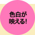 色白が映える！