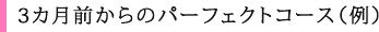 ３カ月前からのパーフェクトコース（例）