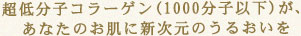超低分子コラーゲン(1000分子以下)が、あなたのお肌に新次元のうるおいを