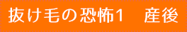 抜け毛の恐怖1　産後