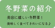 冬野菜の紹介　ボタン