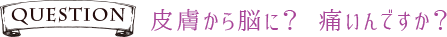 Q皮膚から脳に? 痛いんですか?