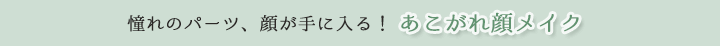 憧れのパーツ、顔が手に入る！　あこがれ顔メイク