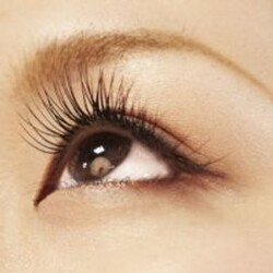 まつげエクステトライアル60本　2980円|fioretto【フィオレット】心斎橋本店