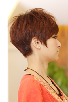 ロシアンブルー|physio 堺町店