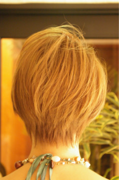 どんなシーンにもおススメ！レディ度アップのショートスタイル|aJyu