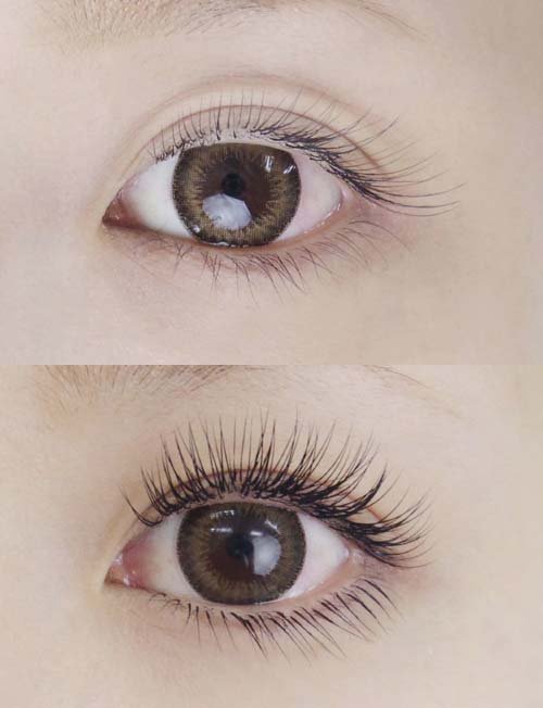 上下フル|まつげエクステサロン　ELEGAR（エレガ）