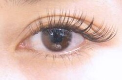 Celebrity　Eye|DL BEAUTY 新宿店