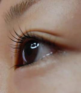 アイラッシュカタログ|アンジュ～eyelash an～