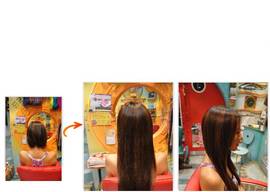 エクステ　２|SECTION